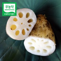 2022 무농약 산지직송 통연근 햇연근 생연근 파지연근 2kg 3kg 15kg 특품, 1박스, 연근정품 2kg