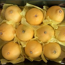 제주 산지직송 천혜향 황금향 3kg 5kg 명절 설 추석 선물세트, 1box, 중소과 2kg(7과내외)