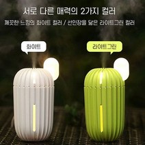 LED 무드등 미니 선인장 가습기 USB 미니가습기, 화이트
