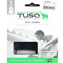 그라프텍 TUSQ Epiphone타입 일렉기타너트 PQ-6060-00
