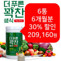 더푸른 동결건조 생식가루 든든한 한끼 아침대용 선식쉐이크 식사대용선식 6통 40%, 6통 40%할인 (119,520원 할인), 6개