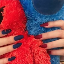 지지배 셀프 네일 인조 손톱 네일팁 무광믹스 1개