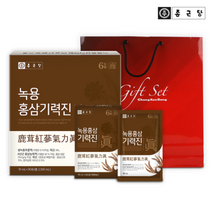 1+1 종근당 녹용 홍삼 기력진 30포 2박스 2개월분 고급쇼핑백포함, 2개