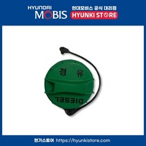 순정 디젤 연료 주유캡 (31010F2900)