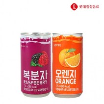 롯데 복분자&오렌지 175ml X 각15개(총30개) 과채 과즙 음료 업소용 소캔 미니캔 음료도매 착즙, 30캔