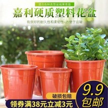 대형 플라스틱 화분 플라스틱화분 친환경수지육묘분비닐대화분에후군자란육묘분재배근가리영양발, 17 190화분+180통기탁, 01 중등