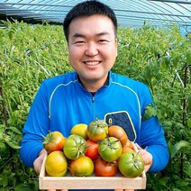 (람이네)농부가 직접운영 프리미엄 대저 짭짤이 토마토 2.5kg 짭짜리 짭짤이, 1box, 미니짭짤이(3s과)