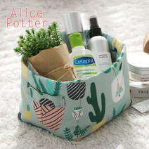 DTP옥스포드) GP1002 앨리스포터 하우스플랜트 S04