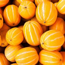 [식품의즐거움] 꿀당도 성주 참외 가정용 2.5kg 골라담기, 참외 가정용 중과 2.5kg