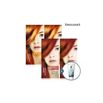 과일나라 진주펄 염색약 스페셜 4개세트+폼클렌징 120ml, 갈색4호 2개_체리레드66호 2개