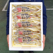 [산지직송] 영광법성포 내장제거 손질찜보리굴비 27cm 28cm 31cm내외 가정용 추석 설선물세트 간편진공포장, 10팩, 찜보리굴비28cm