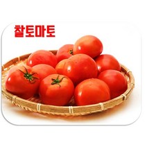 [햇살아름] 제철과일 완숙토마토 5kg(대과 15개 내외), 대과 (15개 내외), 5kg