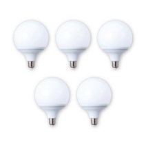 [5v전구] 삼영전기 LED 볼 전구, 주광색(하얀빛), [1등급]12W-롱타입, 5개