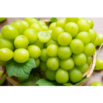 특급국내산 샤인머스켓 망고향 제철과일 상주샤인머스켓, 1개, 2kg