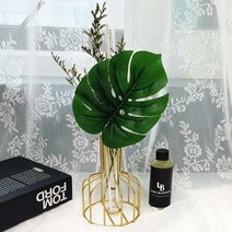 골드 몬스테라 천연 디퓨저 100ml 실내 방향제, 피톤치드