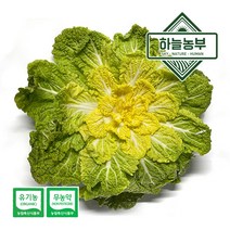 하늘농부 친환경 봄동 300g, 1봉