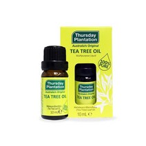 써스데이플랜테이션 티트리 오일 10ml 1021454