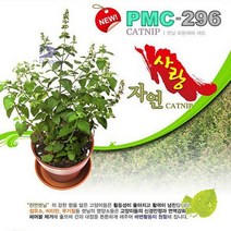 고양이 캣닙 키우기 화분재배세트 냥이활력 헤어볼, 없음