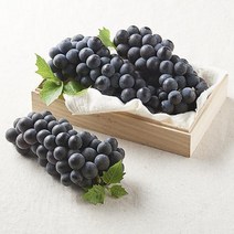 상세설명참조 포도종류 켐벨포도 고당도 포도5KG 캠벨포도, 프리미엄 씨 있는 캠벨포도 5kg