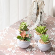 cocooning 사무실 홈가드닝 매력터지는 미니 선인장 조화 화분 4Pset