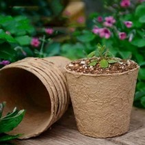 삽목상자 삽목판 화분포트 화분가꾸기 원예용품 사각 8cm 10개, 단일옵션