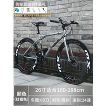 경량 로드바이크 픽시 예쁜 커플자전거 라이딩 가성비 저렴한 학생용, 19. 뉴 24속 60도 티타늄 실버