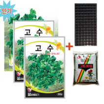고수씨앗 300립-3봉+파종트레이+파종용토 향채씨앗종자 coriander 다기능효용