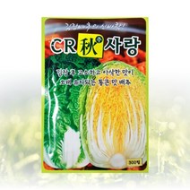 농사친구 CR추사랑 300립 씨 종자 김장 배추 무 채소 텃밭 베란다 모종 불암 토광 알타리 베타, 1봉