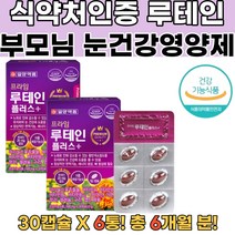 루테인 뉴테인 비문증검사 수험생영양제 비문증 6통 비문증원인 비문증검사 눈영양제추천 눈피로할때 눈이침침할때 눈영양제 비문증치료 지아잔틴루테인 눈이물감 황반변성영양제 천연루테인, 6개