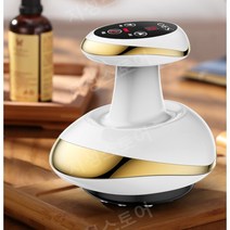 고주파치료기 바디 가정용 온열 셀룰라이트 홈케어 초음파 치료기, E