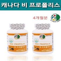 100% 캐나다 산 비 프로폴리스 캡슐 고함량 플라보노이드 17mg함유 식약처 기능성 인정 건강기능식품 비프로폴리스 BEE propolis 캐나다직구 항산화물질 항산화에 도움 환절기 황사철 구강 건강 추천 대용량, 2병, 60캡슐