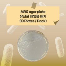 MRS agar plate 유산균 배양용 배지 생배지 (10 plates)
