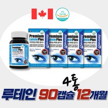 캐나다 루테인 식약처 인증 세포보호 눈건강 영양제 12개월분 청소년 할머니 온가족 면역기능 강화 비타민A 비타민E 아연 안토시안 빌베리 블루베리 황반색소밀도유지 항산화 눈피로 개선
