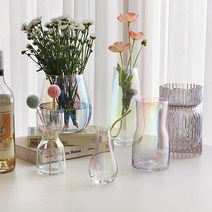 인테리어 오로라 꽃 유리 화병 디퓨저병 시약 실린더 미니 꽃병 긴꽃병 조화화병, G.둥근 화병