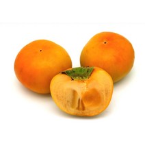 높은당도 아삭한 식감좋은 부모님선물 산지직송 단감 5Kg S 풍부한과즙 신선한 제사상 창원, 1개