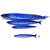 고양이 캣닢물고기 발차기 꽁치인형 고양이캣닢 캣잎, 대