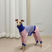까니쉬 이탈리아그레이하운드옷 아이쥐 휘핏 단가라 맨투맨 올인원, 핑크