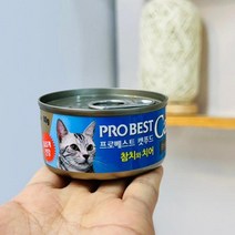 프로베스트 캣푸드 참치+치어80g 고양이캔 습식사료, DDB_상품선택, 80g