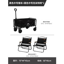 손잡이 웨건 웨건 접이식 캠핑 캠핑용 트롤리 카트 콜맨웨건 소형 광폭 손수레 수납가방, O