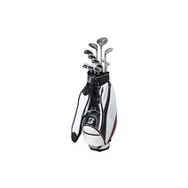 BRIDGESTONE (브리지스톤) 골프 클럽 세트 BRIDGESTONE GOLF BG-100 캐디 백 포함 클럽 11개 세트 남성 아이언 카본 R 샤프트