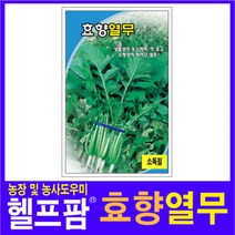 헬프팜 효향열무 30g 종자 그린하트바이오