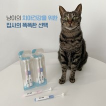 페디슨 초소형 고양이칫솔 구내염예방 충치 덴탈케어, 단품