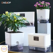수경재배키트 가정용스마트팜 딸기수경재배 식물생장등 수경재배새싹삼 식물키우기 수경화분 새싹삼키우기, Square-S, 1Pack