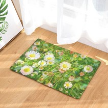 야자수매트 등산로매트 코코넛매트 아름다운 식물 꽃 문 매트 잎 핑크 로즈 베고니아 복숭아 카펫 요가 청, 01 1_02 40 센치메터 x 60 센치메터