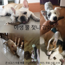 개 칼슘간식 사슴뿔 뼈 막대기 스틱 먹는장난감 천연 애견간식 먹이, 3개월 이내, 원통형 S 크기 / 3-6 파운드 / 무게 20-40g