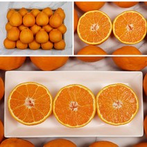 고급스런 향 풍부한 과즙 높은 당도 제주 노지 한라봉 10kg, 상세페이지 참조2, 특과 10kg 30-39과