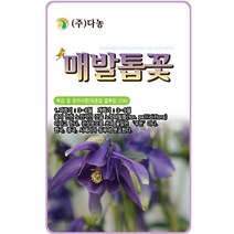 [조이가든] 야생화씨앗 - 매발톱꽃 (400립)