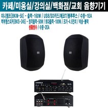 디저트카페 치킨집 카날스 스피커 BKM-50 BKS-245B