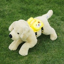 반려동물 외출 백팩 고양이 애견 가방 베낭 강아지 산책 배낭 하네스, 노란색