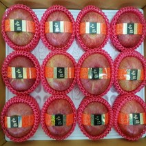 [ 고당고 꿀사과 품질보장제 ] 가정용 선물용 할인판매행사중, 08. 명품 사과 / 선물용 / 제수용 중대과 5kg, 한박스